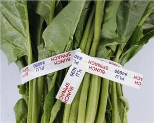 Bog 'yangi sabzavotli qog'ozga burama galstuk